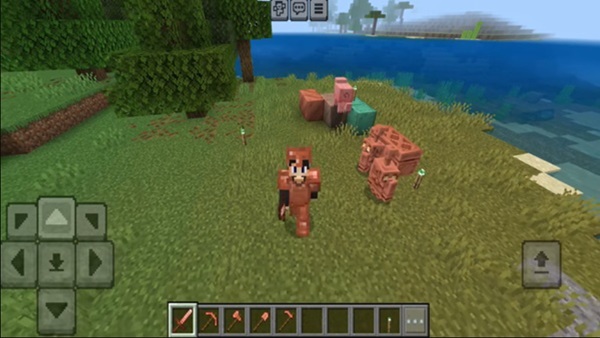 Minecraft 1.21.141 download