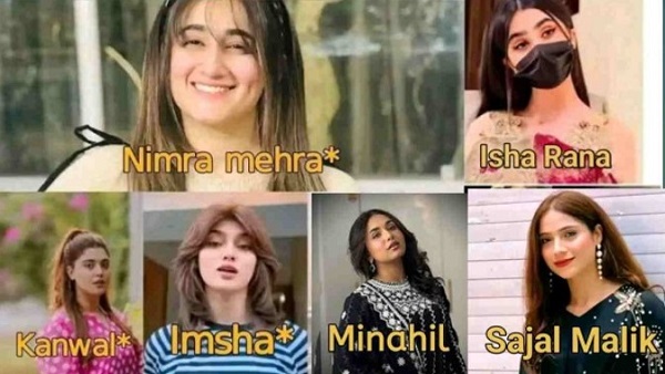 jobz hunting apk download